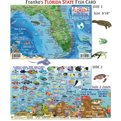 Card, Fl State Map & Fish Id
